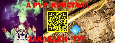 соль ск Кингисепп