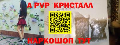 соль ск Кингисепп
